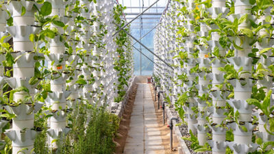 vertical farming greenhouse